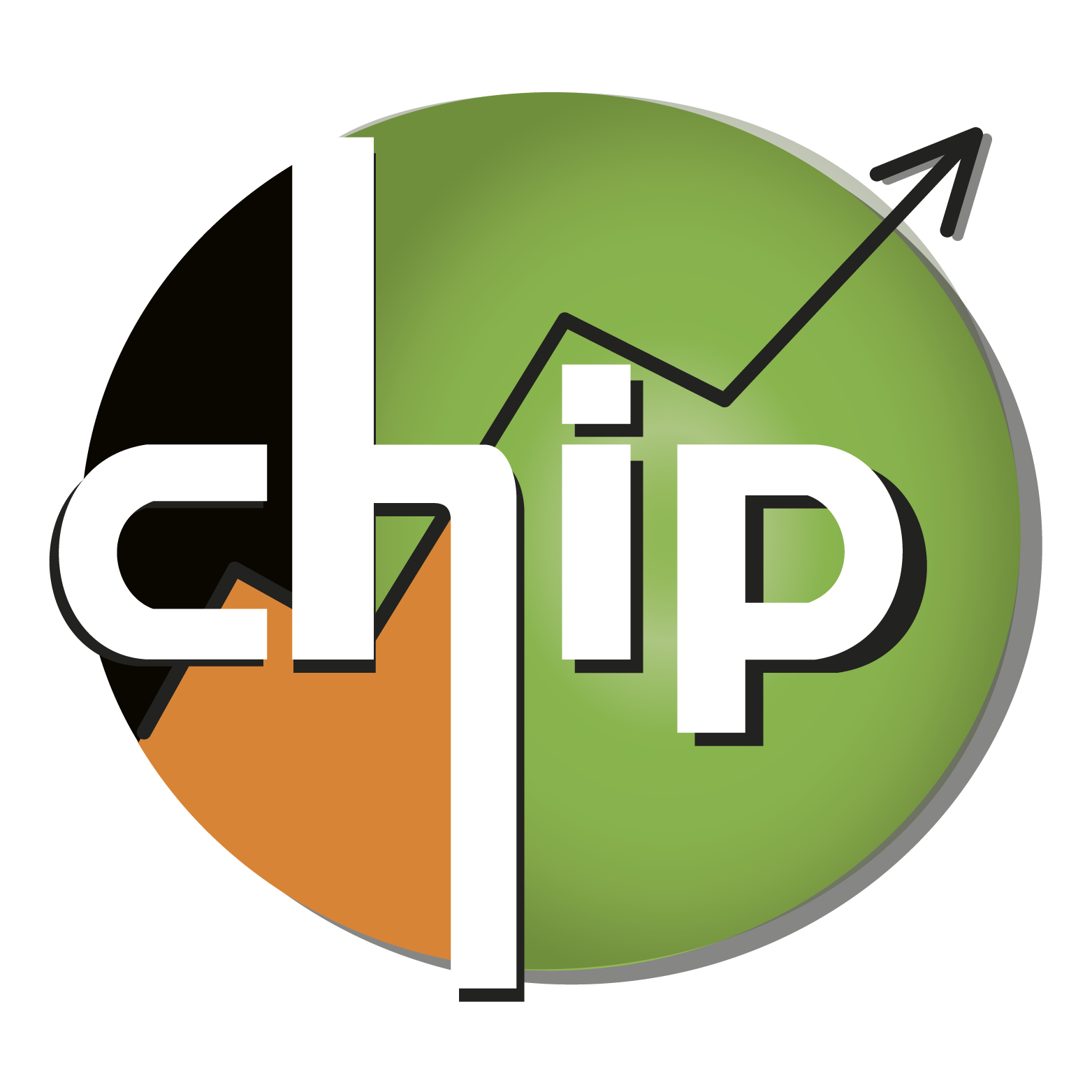 Logo del CHIP